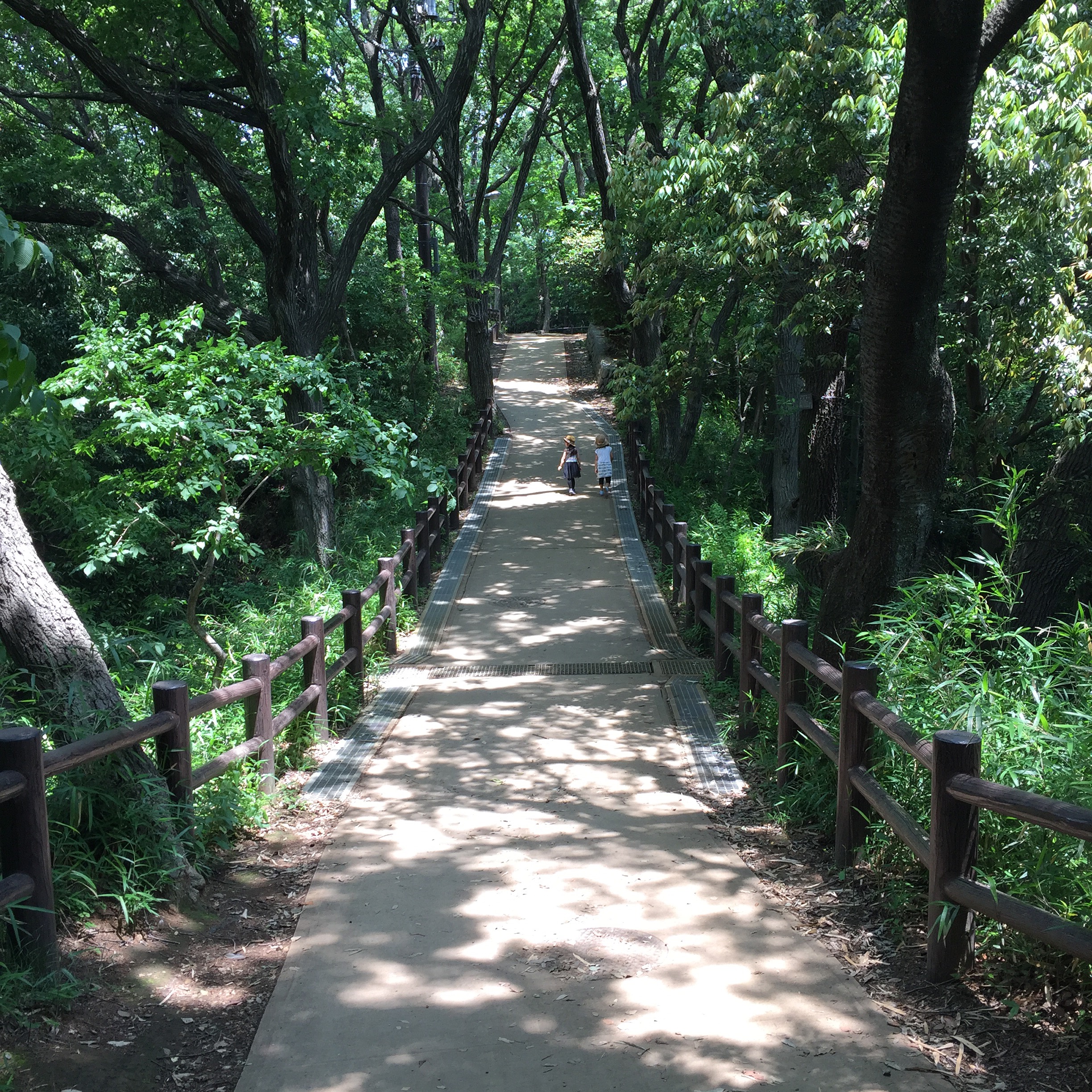 生田緑地